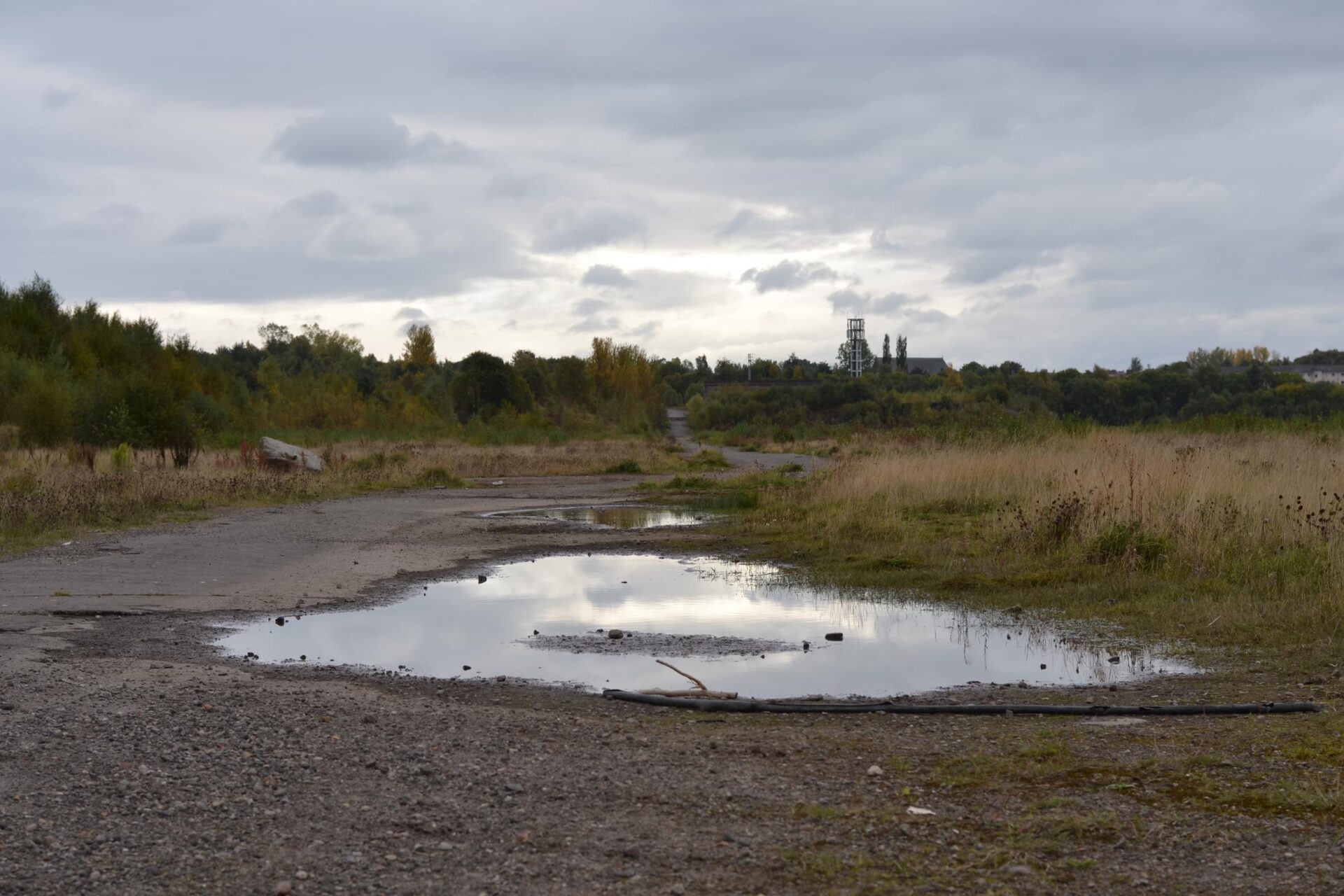 Vacant & derelict land Green Action Trust